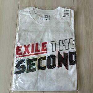 EXILE EXILETHESECOND エグザイルザセカンド　EXILE LIVE パーフェクトイヤー　Tシャツ　グッズ