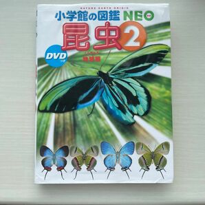 昆虫　２ （小学館の図鑑ＮＥＯ　２４） 小池啓一／執筆・企画構成