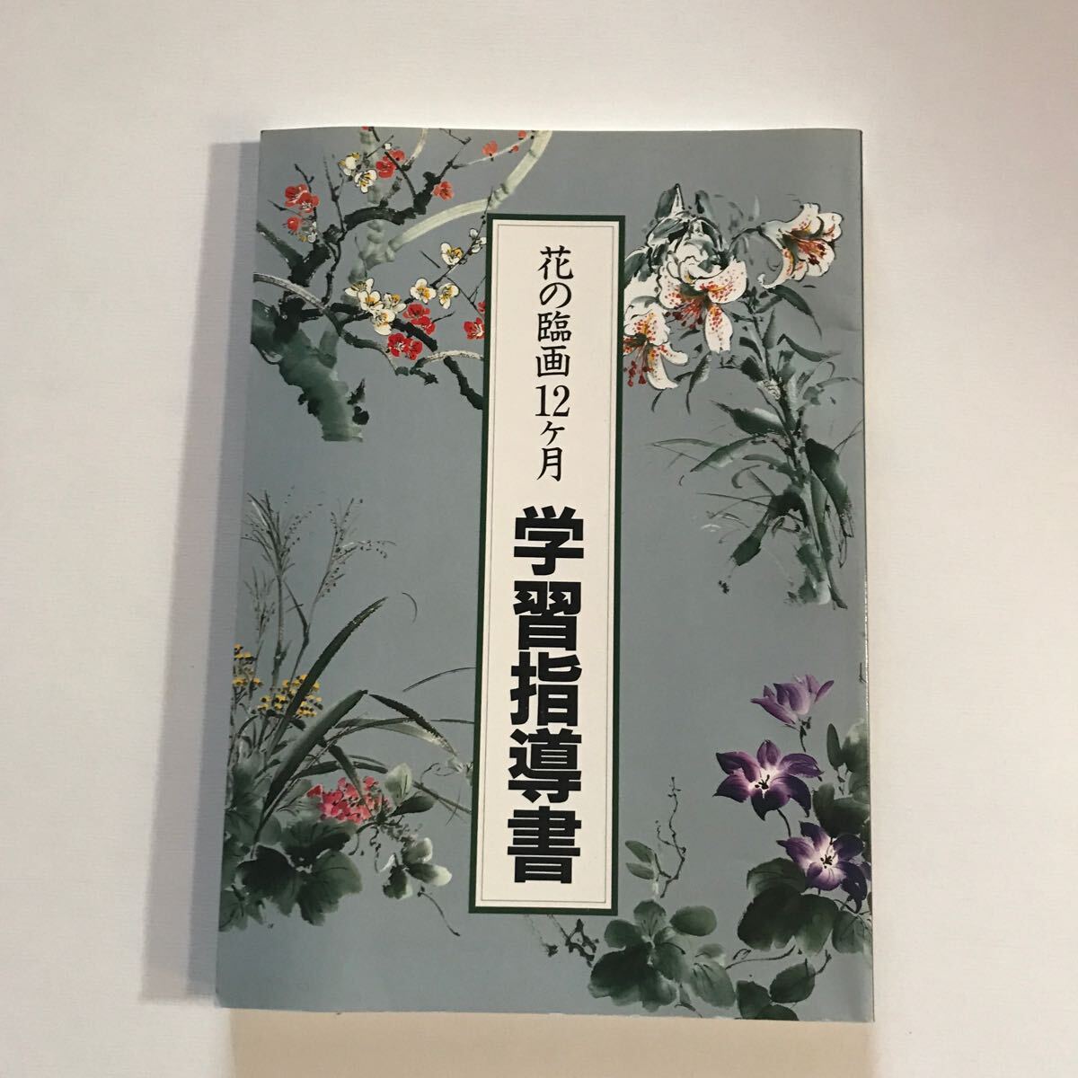 12 个月的花卉素描学习指南说明 Ishimichi Unemura U-CAN 终身学习局, 艺术, 娱乐, 绘画, 技术书