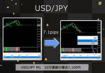 【平均足FX】FX スキャルピングとデイトレードで活躍 利用性と見やすさを徹底追及 高精度機能満載 必見_画像5