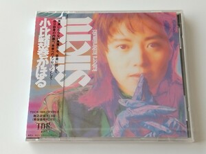 【未開封美品】小比類巻かほる Kahoru Kohiruimaki / silent CD TDK RECORDS TDCK1009 KOHHY91年8th,世界陸上イメージソングTime Goes By