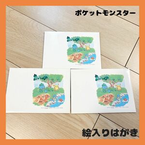 【限定レア商品】 ポケットモンスター 絵入り ハガキ 5枚入り 3セット ピカチュウ ゼニガメ フシギダネ ポケモン