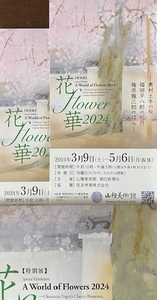 ★花・flower・華2024★ 山種美術館 ★招待券ペア（＝２枚）