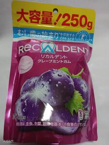 大容量 250g　リカルデントガム　トクホ　特定保険用食品　日本歯科医師会推薦商品　リカルデント　グレープミントガム　モンデリーズ