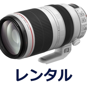 【レンタル4日間】Canon EF100-400mm F4.5-5.6L IS II USMの画像1