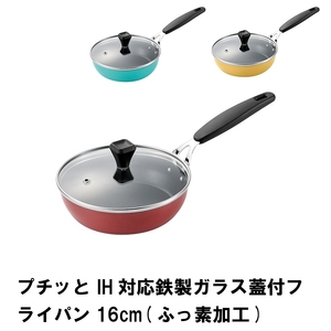 プチッと IH対応鉄製ガラス蓋付フライパン16cm ふっ素加工 レッド M5-MGKPJ01548RD