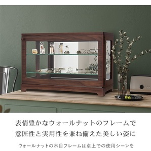 コレクションケース 卓上 横型 ディスプレイケース 幅60cm 高さ40cm スリム 木製 ガラス棚 鏡付き シンプル おしゃれ M5-MGKIT00316の画像2