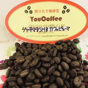 コーヒー豆 セット Qグレードコーヒー グァテマラSHB カフェピューマ & 人気のマンデリンG-1 180gずつご注文後に焙煎 新鮮！ YouCoffeeの画像2