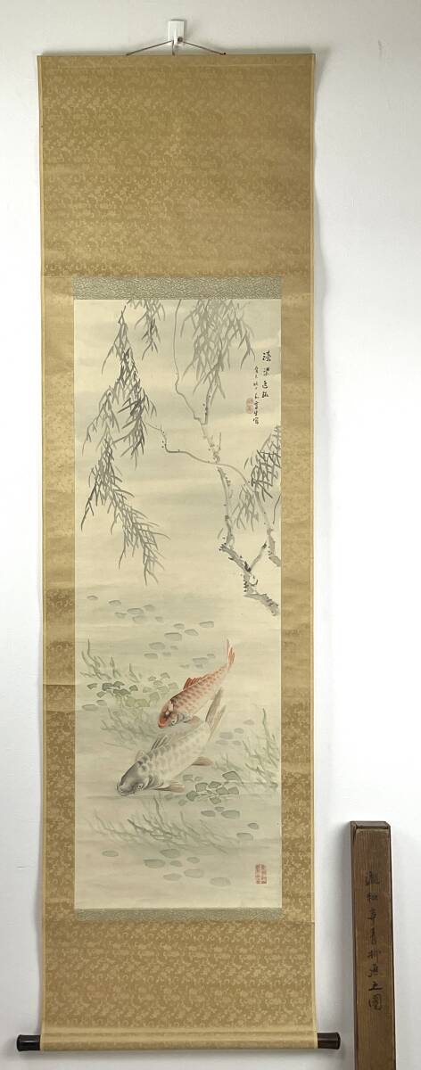 日本画 滝和亭 青柳魚図 肉筆 絹本 掛軸 木軸 共箱付 3c9-27, 絵画, 日本画, 花鳥, 鳥獣