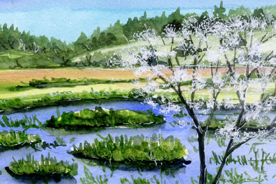 No. 6645 Shishiudo Kirigamine/Yashimagahara Marshland/Chihiro Tanaka (Four Seasons Watercolor)/With gift, Painting, watercolor, Nature, Landscape painting
