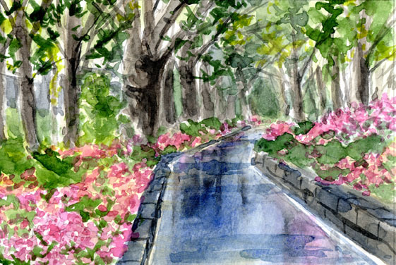Nr. 6917 Rainy Park Road / Bildungswaldpark, Bunkyo Ward / Chihiro Tanaka (Vier Jahreszeiten Aquarell) / Kommt mit einem Geschenk, Malerei, Aquarell, Natur, Landschaftsmalerei