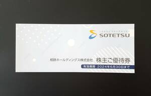 【未使用】 相鉄ホールディングス 株主優待券 1冊 相模鉄道