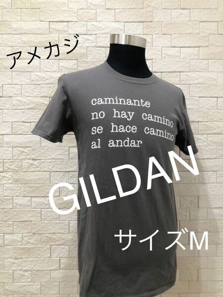 GILDAN ギルダン メンズ 半袖Tシャツ USA古着 サイズM 送料無料　即決