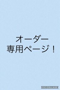 ハンドメイドネイルチップ「オーダー専用」お好きなチップをご連絡ください(*´ω｀*)売り切れている物でも作成出来るものもございます