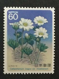 ■■コレクション出品■■【高山植物シリーズ】第５集　ヒダカソウ