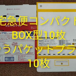 宅急便コンパクト専用BOX BOX型 10枚 ゆうパケットプラス専用box 10枚