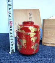 ●未使用保管品 平安象彦「箸洗椀」5客 共箱 朱塗 蔦蒔絵 高さ 約11㎝ 幅 約7.5㎝ 茶懐石 吸物椀 煮物椀 漆器 漆塗 茶道具 茶器 茶碗 12●_画像6