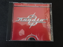 RAYDIO（レイディオ）「RAYDIO ジャック＆ジル」1992年日本盤BVCA-2023 RAY PARKER JR._画像1
