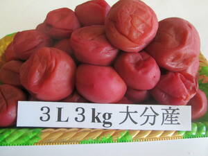  new .. pickled plum 3L size 3kg alkali . food exemption .UP natural salt . less pesticide purple ... digit soft pickled plum 
