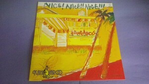 【LP】Kangarooカンガルー/NiceNiceNice 和モノ 美品 VIH28168