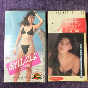 レア レトロ 堀江しのぶ いつかは LAST SUMMER 1988 ビデオ カセット VHS アイドル グラビアアイドル 送料無料 匿名配送 まとめて 2本