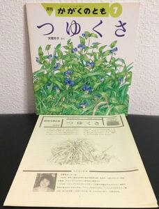 「つゆくさ」かがくのとも　折り込み付録付き　矢間芳子　福音館　1989年