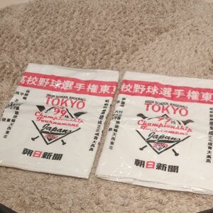 第99回高校野球選手権大会　東東京記念タオル 2枚セット