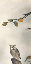 ［模写］舜水「柿木菟図」絹本 花鳥図 鳥獣 ミミズク 日本画 絵画 日本美術 人が書いたもの 掛軸 K030619_画像5