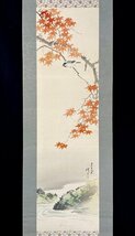 ［模写］章嶺「紅葉小鳥之図」絹本 花鳥図 鳥獣 日本画 絵画 日本美術 掛軸 人が書いたもの Ｈ022708_画像4