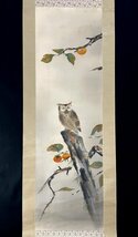 ［模写］舜水「柿木菟図」絹本 花鳥図 鳥獣 ミミズク 日本画 絵画 日本美術 人が書いたもの 掛軸 K030619_画像4