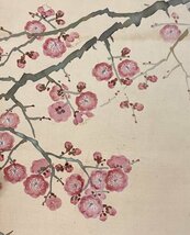 ［真作］大島佳山 作「桜花雙鳩図」絹本 花鳥図 鳥獣 日本画 絵画 日本美術 川合玉堂師事 掛軸 共箱 タトウ H032015_画像8