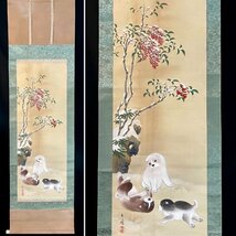［模写］春暲 「南天小犬図」絹本 鳥獣 日本画 絵画 日本美術 掛軸 合箱 人が書いたもの Ｈ032001_画像1