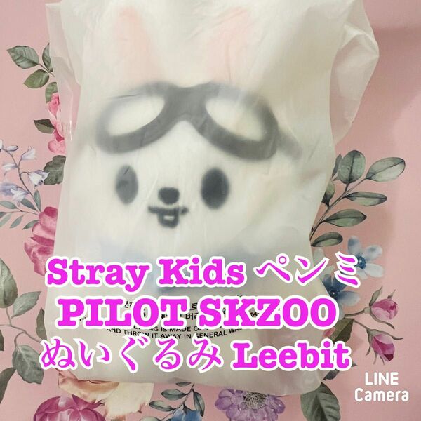 Stray Kids ソウルペンミ PILOT ぬいぐるみ 10cm リービット