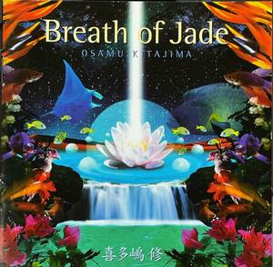 (C22H)* New Age редкость запись /. много ../Breath of Jade*