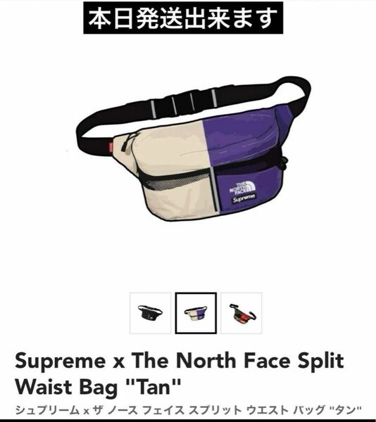 Supreme x The North Face Split Waist Bag