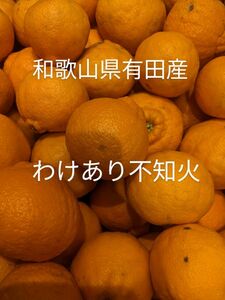 和歌山県有田産　わけあり不知火4kg