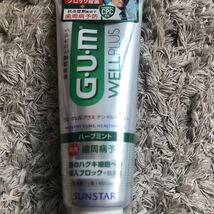 【送料無料】125g×5 サンスター GUM ガム ウェルプラス デンタルペースト ハーブミント 薬用 歯周病予防_画像2