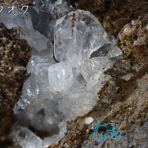 【サンプルに】アナルシム 方沸石 青森県【国産鉱物】の画像1