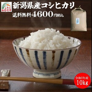 令和5年産 新潟県産コシヒカリ10kg うまい米 米専門 みのりや（玄米）ポイント消化 送料無料