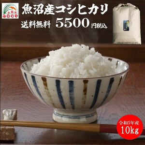 令和5年産 魚沼産コシヒカリ10kg うまい米 米専門 みのりや（玄米）ポイント消化 送料無料