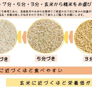 令和5年産 新潟魚沼産 コシヒカリ 30kg うまい米 米専門 みのりや  ポイント消化 送料無料の画像7