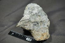 外国産鉱物★　珪線石（Sillimanite )　フランス産　　　重さ約５２４ｇ_画像1