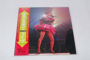 LD Moritaka Chisato [ seeing special live ] including in a package shipping possibility 