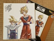 ドラゴンボール　鳥山明　色紙E_画像2