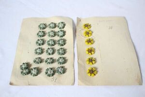 ベルギー アンティーク 古いボタン 花の形 緑と黄色 まとめて25個セット！