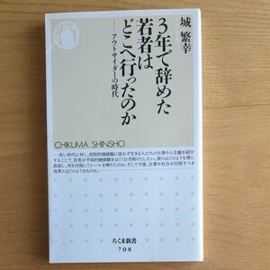 ３年で辞めた若者はどこへ行ったのか　アウトサイダーの時代 （ちくま新書　７０８） 城繁幸／著