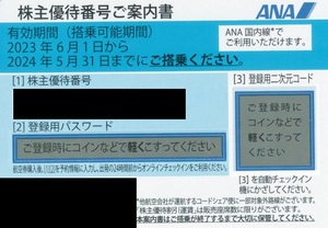 レターパック送料込み　ANA 株主優待券 10枚セット　有効期限:2024年5月31日迄