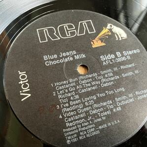 ブルース 35枚 LP レコード まとめてセット USA盤 ライトニンホプキンズ ジョンリーフッカー blues 等 ⑥の画像10