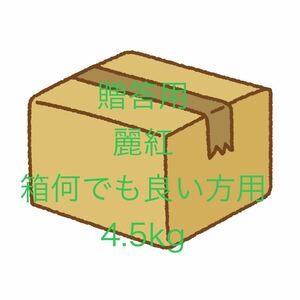 贈答用　麗紅 L 4.5kg 箱何でも良い方用人気の有田みかん　和歌山県産　せとか姉妹品種　農家直送