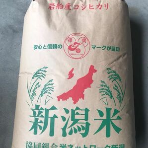 令和5年産　新潟県　岩船産コシヒカリ白米9kg 